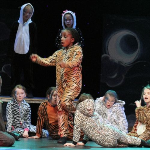 SParkles wild things20